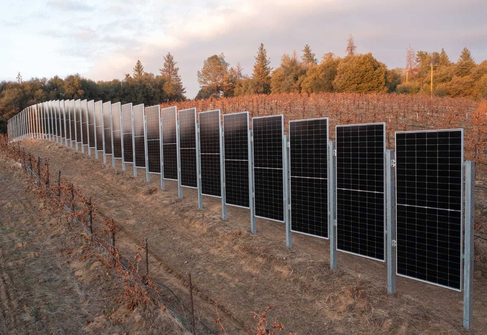 Solar Fencing